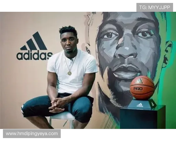 多诺万米切尔：从新秀到全明星的成长之路与篮球传奇