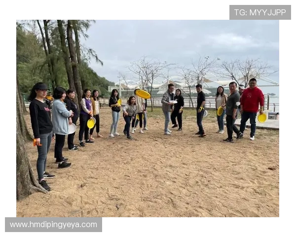 南京飞盘队团队协作的独特优势与其他队伍的深度对比分析 南京飞盘队团队协作的独特优势与其他队伍的深度对比分析