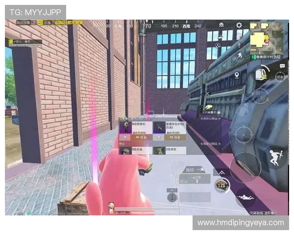 和平精英战术解析:深入探讨FPX团队的盯防策略与执行技巧 和平精英战术解析:深入探讨FPX团队的盯防策略与执行技巧