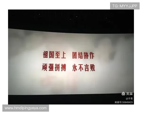 深圳排球队灵活性变革引发热议助力球队新征程