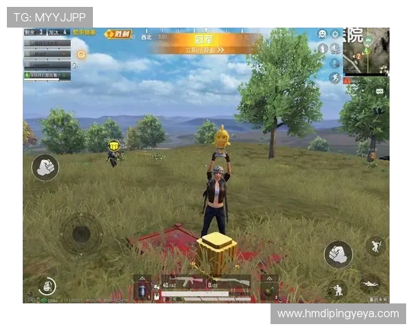 和平精英深度解析LNG战队的战术节奏与团队协作策略